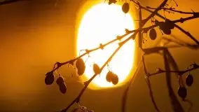 Listopadowy zachód słońca nad jeziorem Tałty, Skorupki - zdjęcie 16