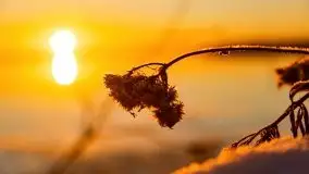 Grudniowy wschód słońca nad jeziorem Niegocin - zdjęcie 74