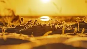 Grudniowy wschód słońca nad jeziorem Niegocin - zdjęcie 50