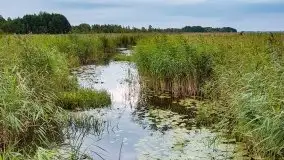 Zdjęcia: Niezapomniane Wyprawy - Pętla Mazurska w wykonaniu Marka - zdjęcie 7