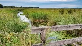 Zdjęcia: Niezapomniane Wyprawy - Pętla Mazurska w wykonaniu Marka - zdjęcie 8