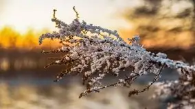 Zachód słońca nad jeziorem Święcajty, grudzień 2021 r. - zdjęcie 19