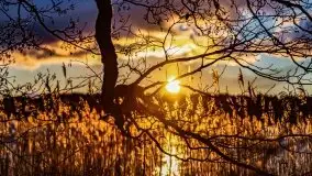 Grudniowy zachód słońca nad jeziorem Kisajno 2021 - zdjęcie 20