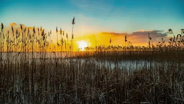 Wschód słońca nad jeziorem Niegocin, krzyż św. Brunona