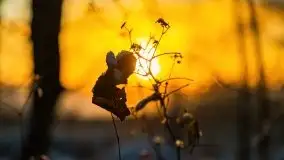 Wschód słońca nad jeziorem Niegocin, krzyż św. Brunona - zdjęcie 29