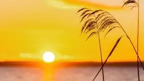 Wschód słońca nad jeziorem Łabap w Radziejach - zdjęcie 16