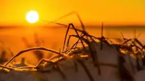 Wschód słońca nad jeziorem Łabap w Radziejach - zdjęcie 53