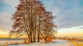 Wschód słońca nad jeziorem Łabap w Radziejach - zdjęcie 47