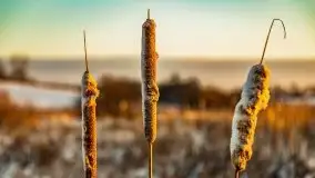 Wschód słońca nad jeziorem Łabap w Radziejach - zdjęcie 51