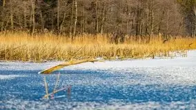Zimowy las nad jeziorem Mulik, styczeń 2021 - zdjęcie 8