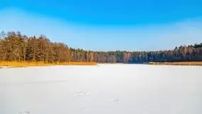 Zimowy las nad jeziorem Mulik, styczeń 2021 - zdjęcie 40