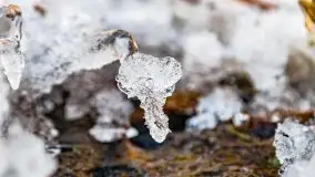 Zimowy las nad jeziorem Mulik, styczeń 2021 - zdjęcie 42