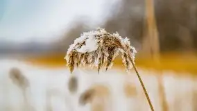 Księżycowy Dworek i jezioro Siercze w okowach zimy - zdjęcie 12