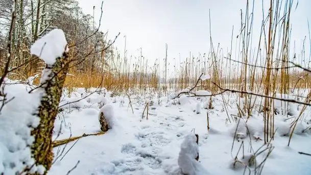 Księżycowy Dworek i jezioro Siercze w okowach zimy - zdjęcie 7