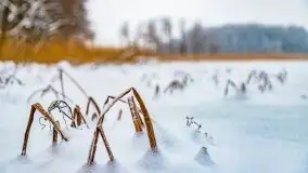Księżycowy Dworek i jezioro Siercze w okowach zimy - zdjęcie 16