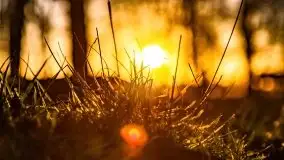 Wschód słońca nad jeziorami Boczne i Niegocin, styczeń 2022 r. - zdjęcie 52