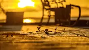 Styczniowe słońce, jezioro Dargin i kra... - zdjęcie 51