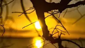 Styczniowe słońce, jezioro Dargin i kra... - zdjęcie 32