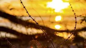 Styczniowe słońce, jezioro Dargin i kra... - zdjęcie 12