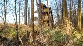 Wieża widokowa nad jeziorem Łuknajno - zdjęcie 8