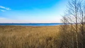 Wieża widokowa nad jeziorem Łuknajno - zdjęcie 12