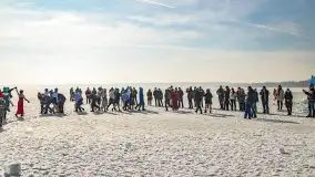 Morsowy polonez w wykonaniu Zimowego Ptaka, luty 2021 r. - zdjęcie 27