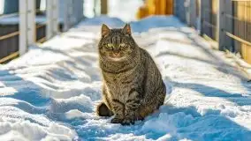 Zimowa Stranda i jezioro Kisajno, styczeń 2022 r. - zdjęcie 16