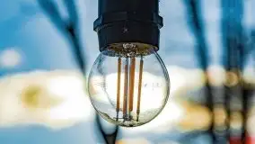 Zimowa Stranda i jezioro Kisajno, styczeń 2022 r. - zdjęcie 25