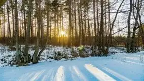 Zachód słońca przy wyspie Wydmińskiej, marzec 2021 r. - zdjęcie 24