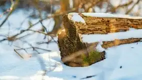 Zachód słońca przy wyspie Wydmińskiej, marzec 2021 r. - zdjęcie 53