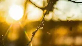 Zachód słońca przy wyspie Wydmińskiej, marzec 2021 r. - zdjęcie 51