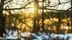 Zachód słońca przy wyspie Wydmińskiej, marzec 2021 r. - zdjęcie 34