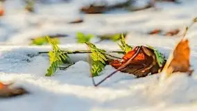 Zachód słońca przy wyspie Wydmińskiej, marzec 2021 r. - zdjęcie 50