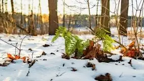 Zachód słońca przy wyspie Wydmińskiej, marzec 2021 r. - zdjęcie 18