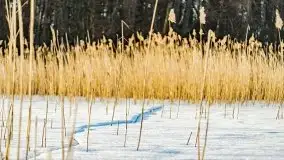 Zachód słońca przy wyspie Wydmińskiej, marzec 2021 r. - zdjęcie 37