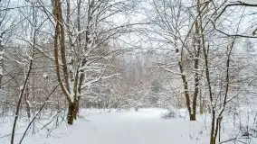 Zimowe widoki, pomiędzy Giżyckiem a Wilkasami - zdjęcie 5
