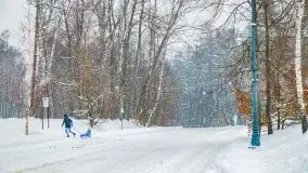 Zimowe widoki, pomiędzy Giżyckiem a Wilkasami - zdjęcie 18