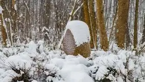 Zimowe widoki, pomiędzy Giżyckiem a Wilkasami - zdjęcie 20