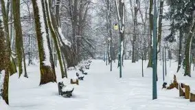 Zimowe widoki, pomiędzy Giżyckiem a Wilkasami - zdjęcie 14