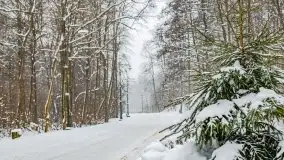 Zimowe widoki, pomiędzy Giżyckiem a Wilkasami - zdjęcie 27