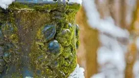 Zimowe widoki, pomiędzy Giżyckiem a Wilkasami - zdjęcie 9