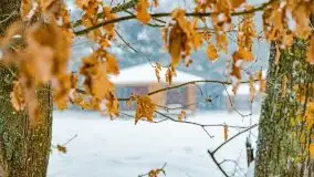 Zimowe widoki, pomiędzy Giżyckiem a Wilkasami - zdjęcie 4