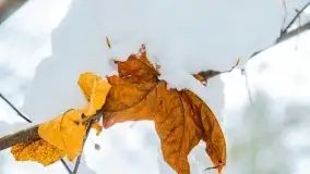 Zimowe widoki, pomiędzy Giżyckiem a Wilkasami - zdjęcie 31