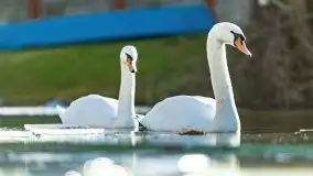 Zimowe jeziora przy Malinówce Wielkiej - zdjęcie 51