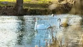 Zimowe jeziora przy Malinówce Wielkiej - zdjęcie 27