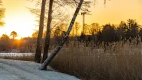 Wschód słońca w Strandzie nad jeziorem Kisajno - zdjęcie 8