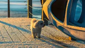 Wschód słońca w Strandzie nad jeziorem Kisajno - zdjęcie 22