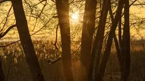 Wschód słońca nad jeziorem Niegocin w Wilkasach - zdjęcie 58