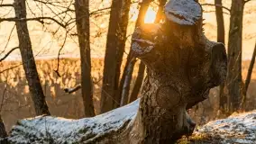 Wschód słońca nad jeziorem Niegocin w Wilkasach - zdjęcie 33