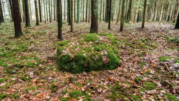 Kamienie ofiarne w okolicach jeziora Kruklin - zdjęcie 7